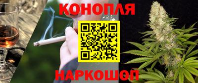 mdpv Обнинск