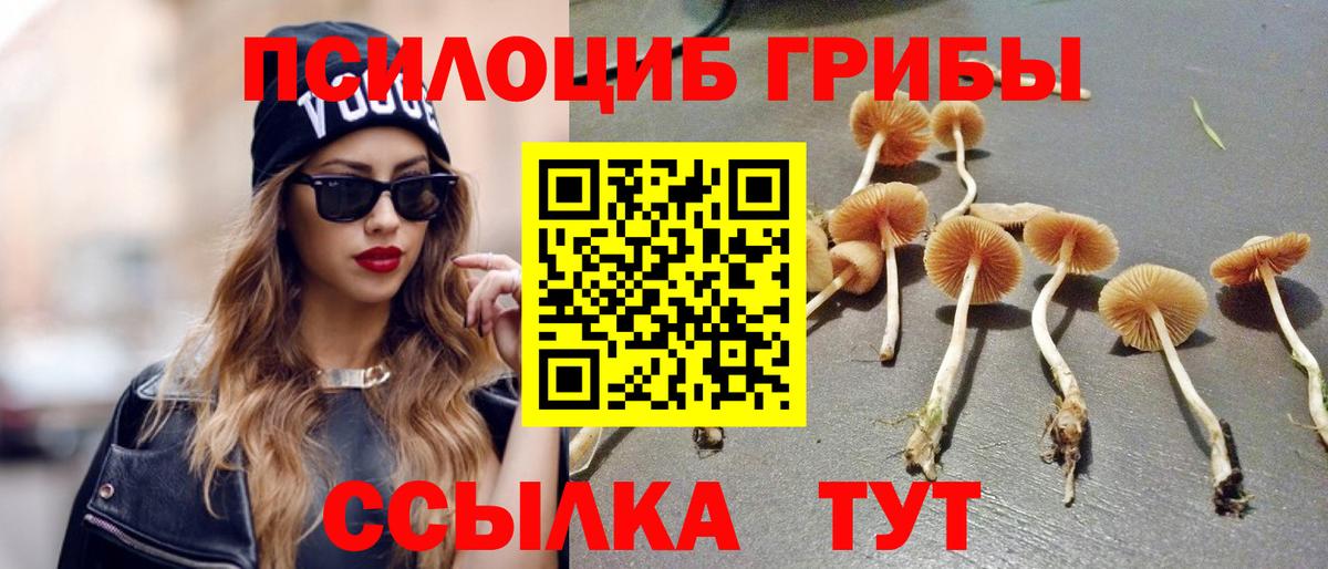 Среднеуральск  Галлюциногенные грибы Cubensis  Вход с VPN 