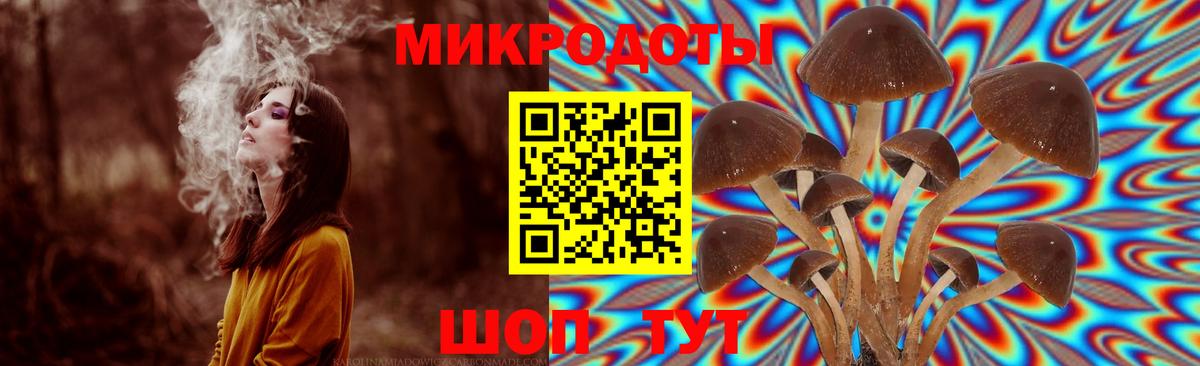 Псилоцибиновые грибы MAGIC MUSHROOMS Среднеуральск